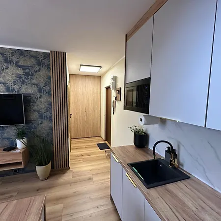 Apartment Classy For Two Gdansk